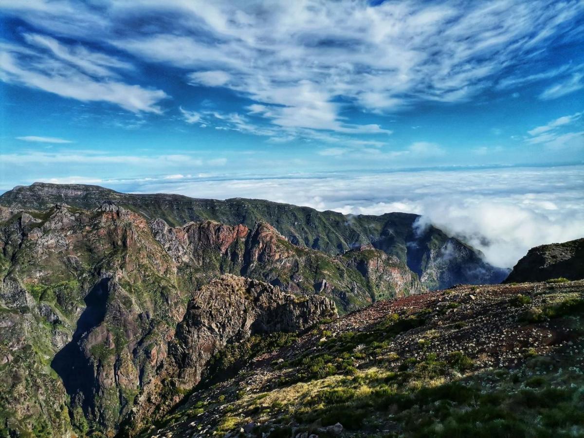 Ines Seaview Apartment Funchal Dış mekan fotoğraf