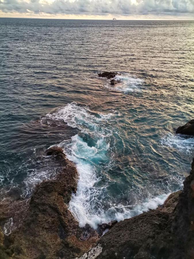 Ines Seaview Apartment Funchal Dış mekan fotoğraf