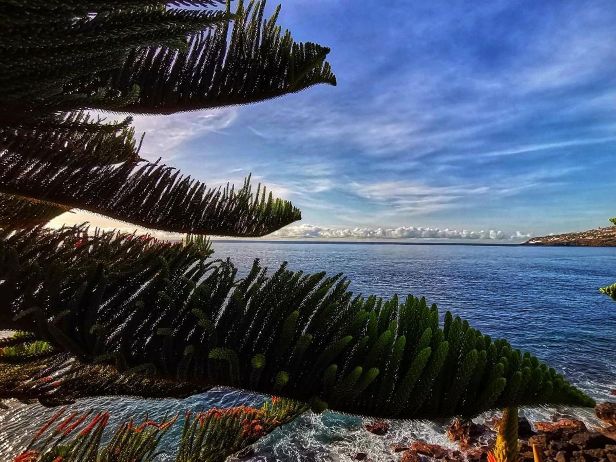 Ines Seaview Apartment Funchal Dış mekan fotoğraf